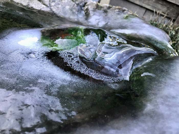 Mooiberghem Nl Mooie Winterse Foto Bij De Warmste Februarimaand