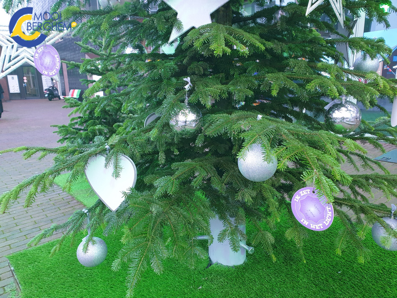 kerstboomberchplaets02