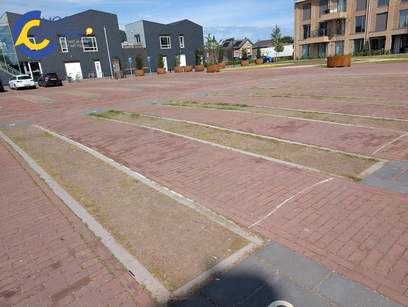 meestergielenpleinmijngras 2