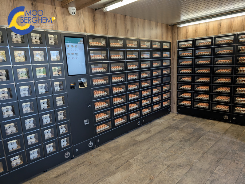 PXL 20251121 095554189