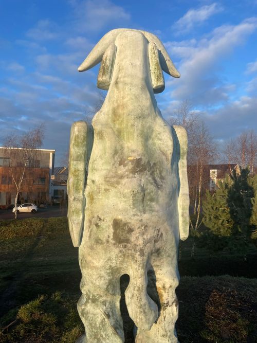 buffelsschoon02