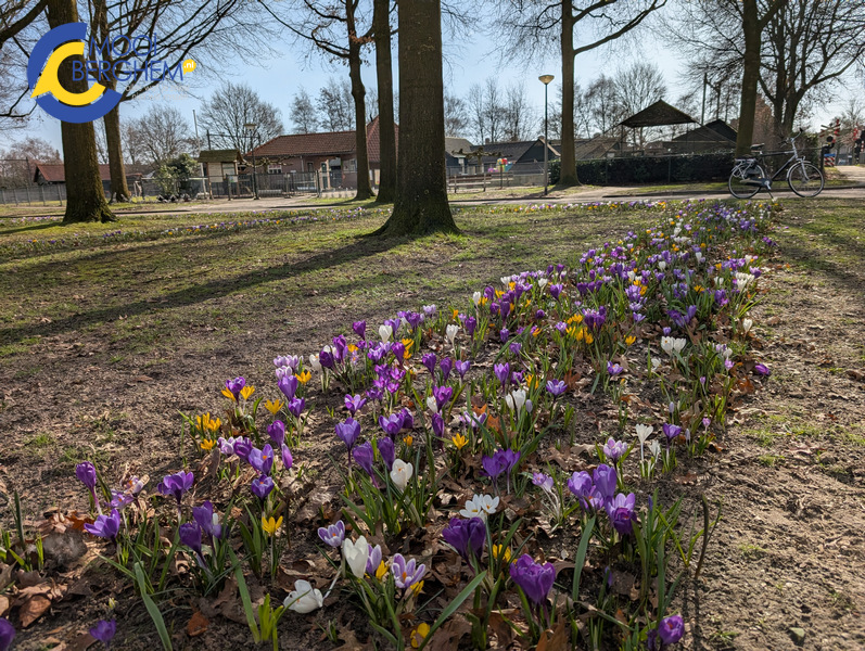 bloemenzee03